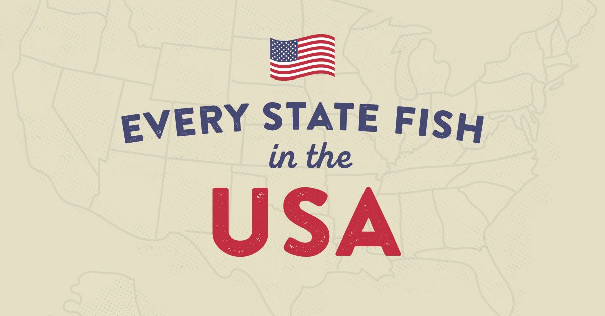 The Official Freshwater Fish For Every State In America