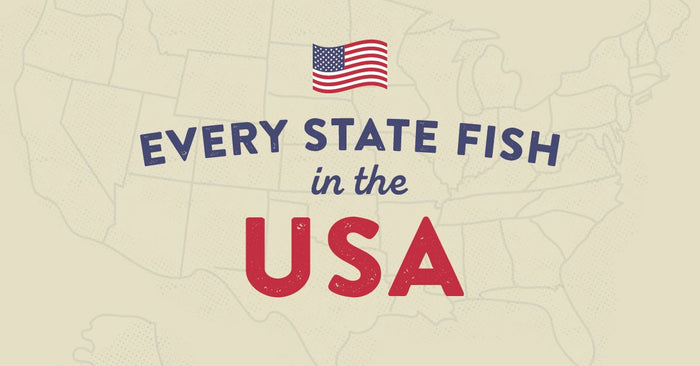 The Official Freshwater Fish For Every  State In America