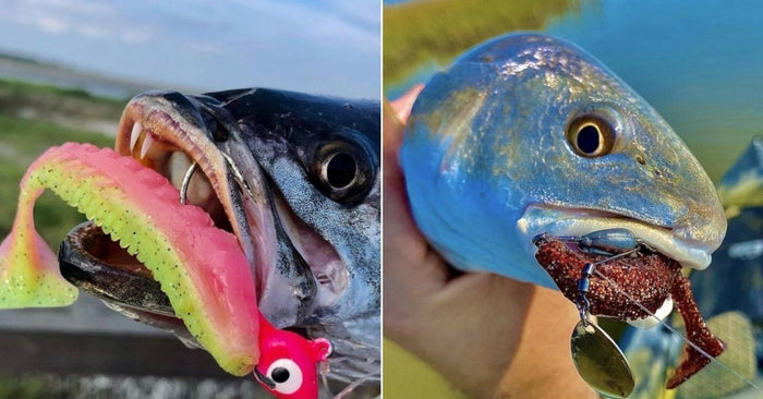 Two Must Have Soft Plastics For Inshore Saltwater Fishing
