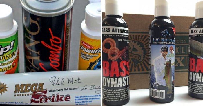 Why Adding Scent To Your Baits This Winter Can Make A Big Difference