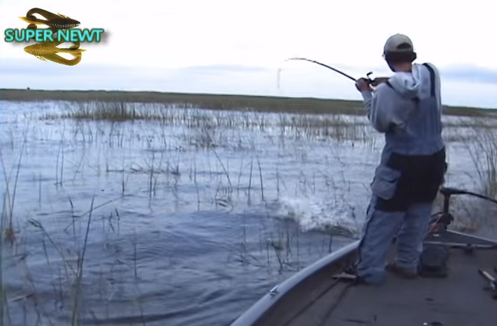 9 Topwater Strikes That Will Make Your Heart Race