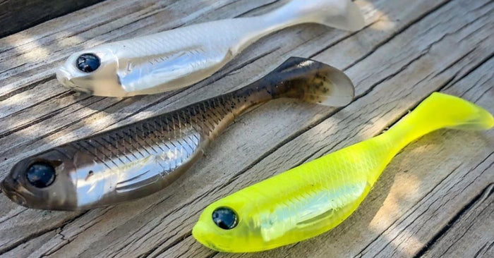 Why Do Shiny Baits Catch People So Many Fish?