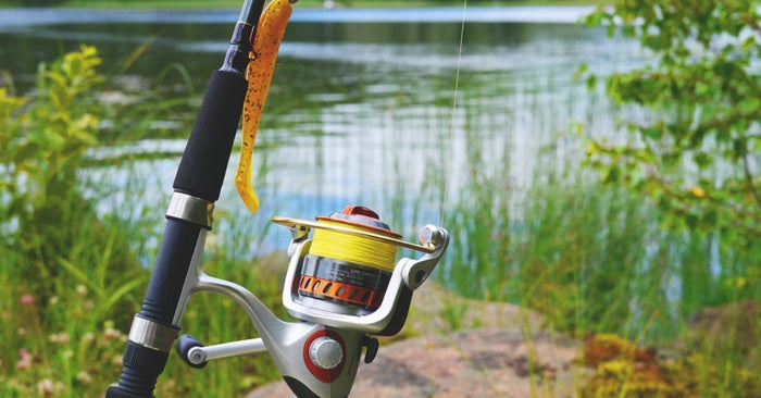 Spinning Rods: Just For Noobs Or A True Tournament Tool?