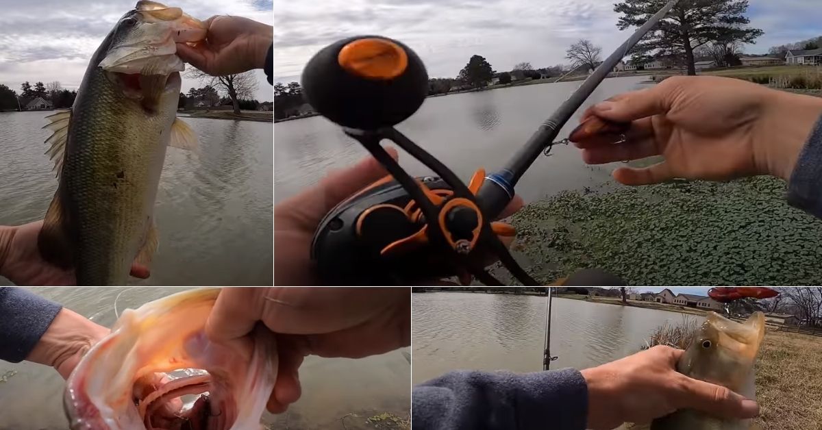 How To Catch More Bass From Ponds In The Spring (Bonus MTB Unboxing)