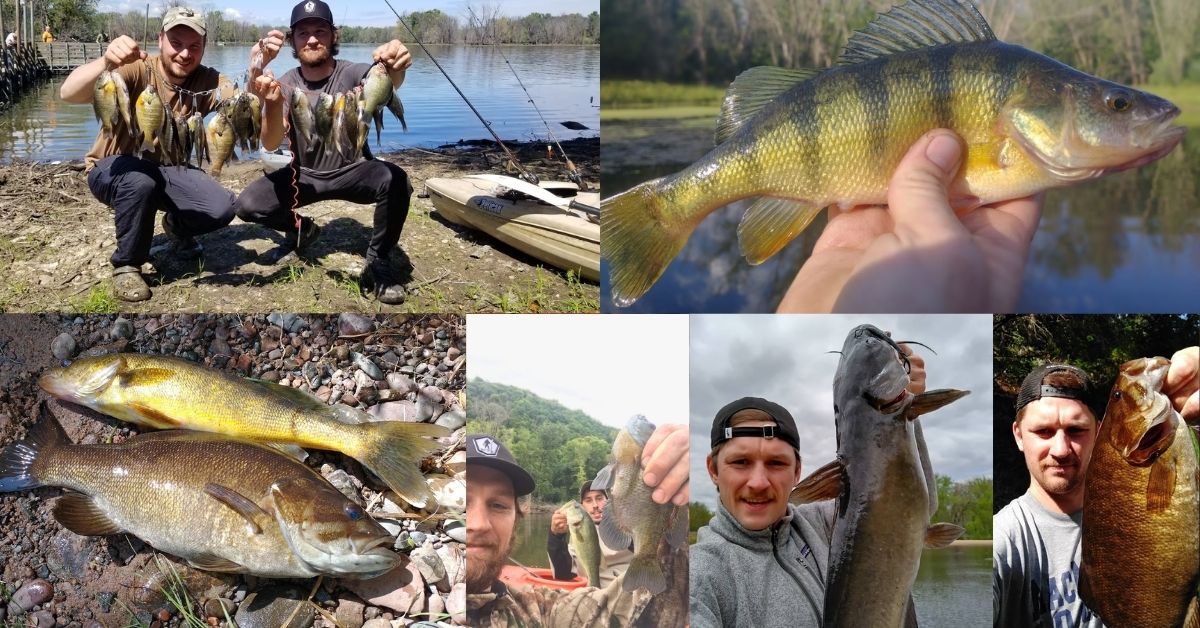 When Do Fish Spawn In The Spring? (9 Species Covered)