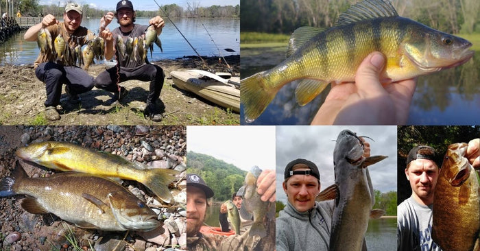 When Do Fish Spawn In The Spring? (9 Species Covered)