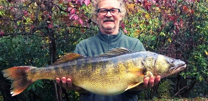 18.1 Pound Walleye Pummels Pennsylvania's 41-Year-Old State Record