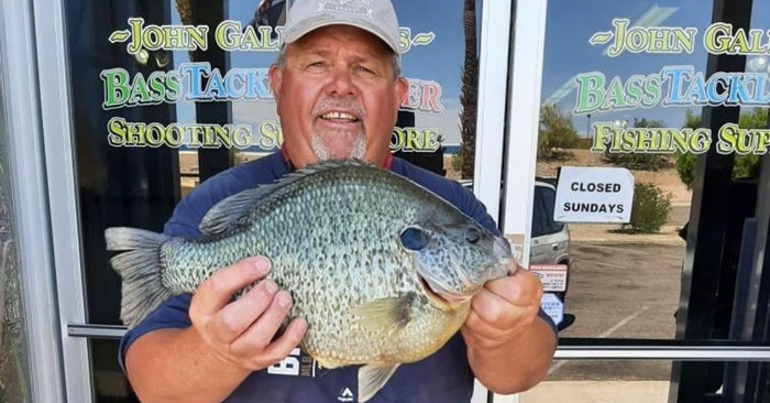 This Potential World Record Sunfish Is Bigger Than Every Panfish You've Ever Seen