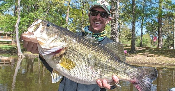 The 5 Best Bass Fishing Lakes In Texas