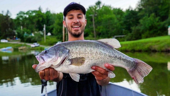 How To Catch The Bass That Missed Your Topwater Frog