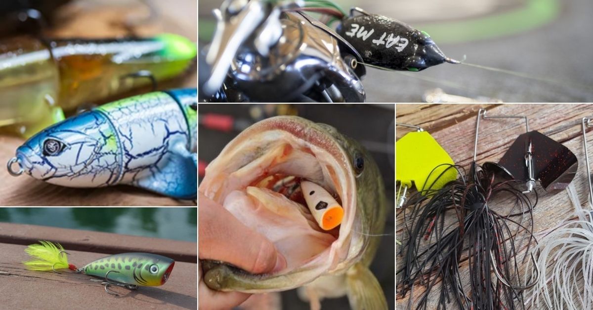 5 Topwater Lures That Will Catch You More Fish Mystery Tackle Box 5 Topwater Lures That Will Catch You More Fish Mystery Tackle Box