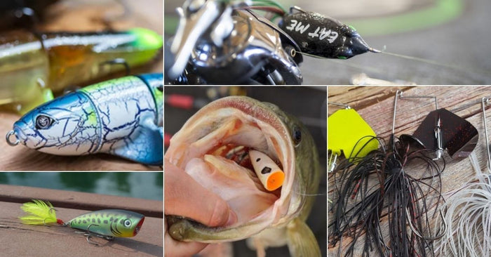 5 Topwater Lures That Will Catch You More Fish