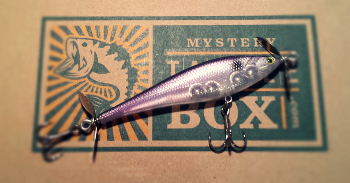 Spybaiting 101: The Art Of Silent Capture