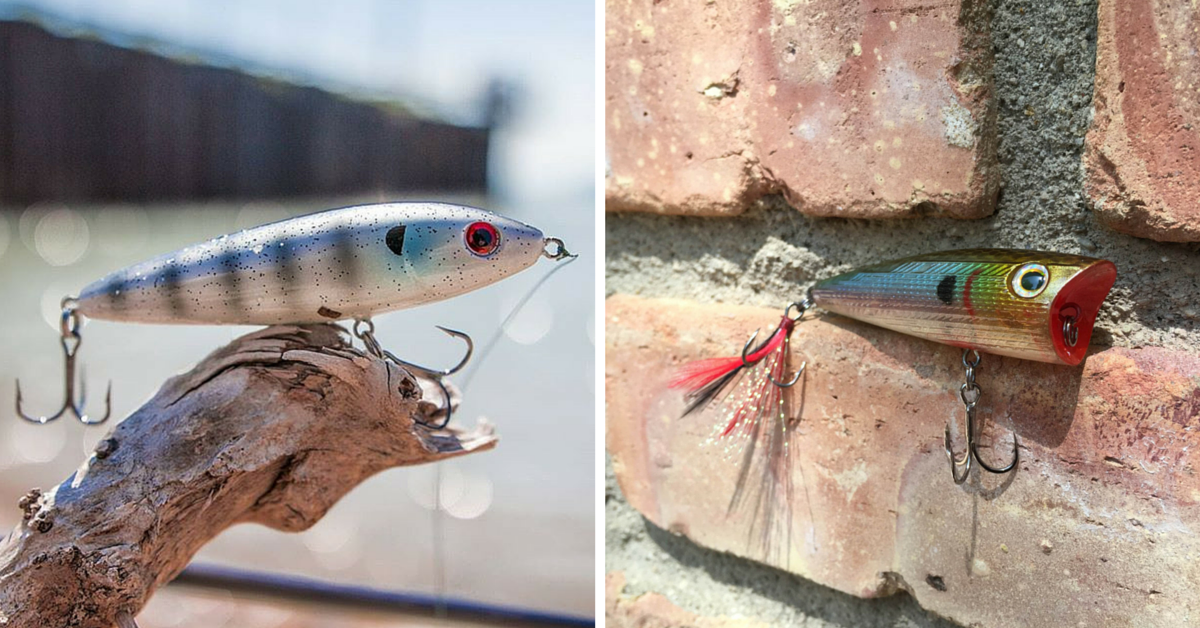 Poppers Vs Walkers: Topwater Baits Explained Mystery Tackle Box Poppers Vs Walkers: Topwater Baits Explained Mystery Tackle Box