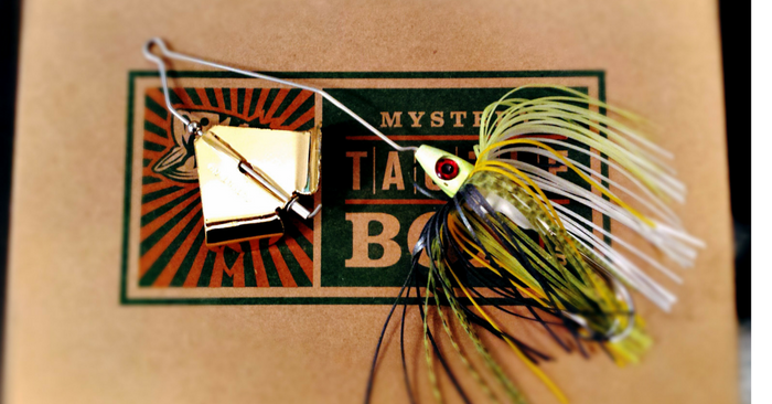 3 Topwater Baits That Dominate Cold Water