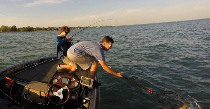 To Hook Set, Or Not To Hook  Set, That Is The Question