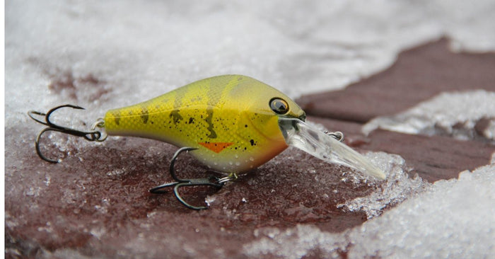 Winter Bass Fishing Tips: How To Catch MORE Bass In The Snow