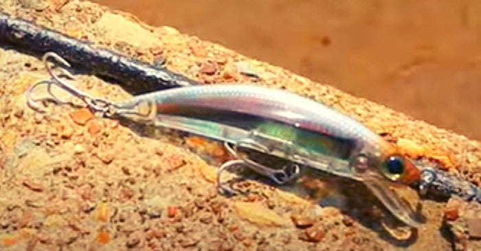 A Closer Look At The Yo Zuri 3D Inshore Minnow
