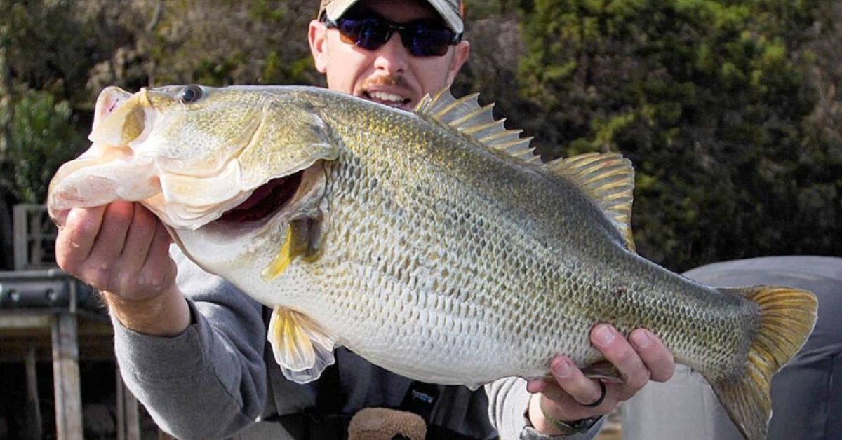 Getting Over The Hump Of Clear Water Fishing