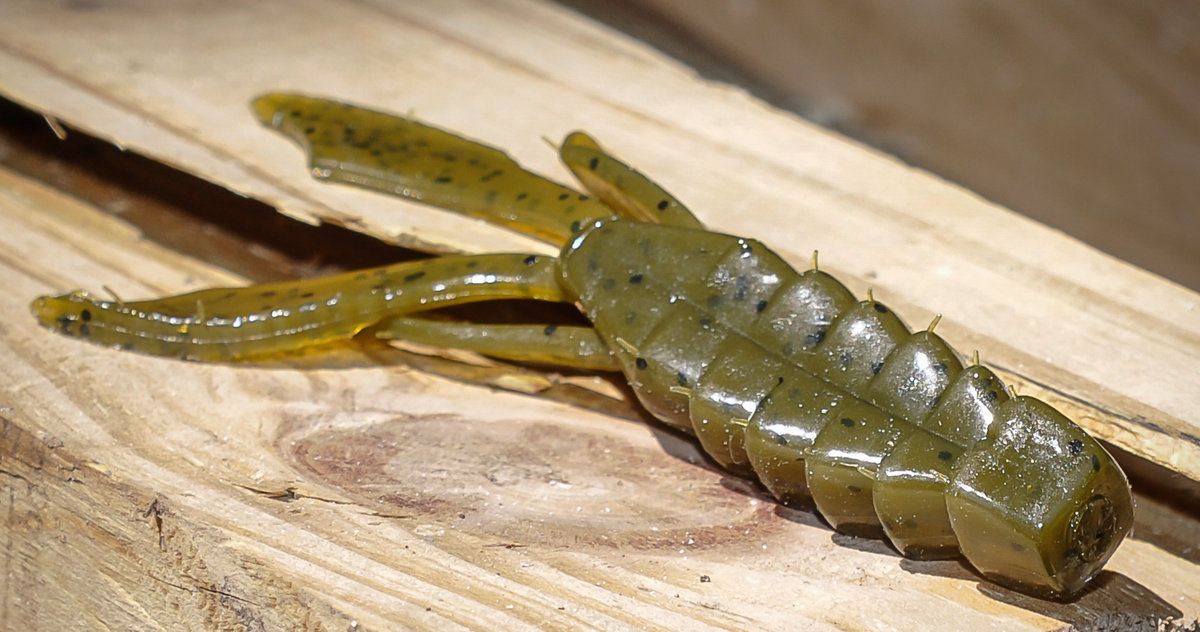 4 Soft Plastics You Should Be Throwing At Bedding Bass During The Spawn