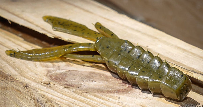 4 Soft Plastics You Should Be Throwing At Bedding Bass During The Spawn