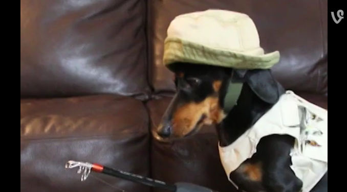 12 Hilarious Fishing Vines You Have To Watch