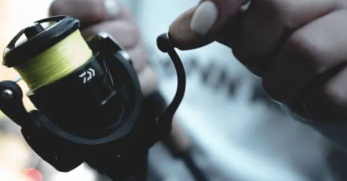 best mono fishing line for spinning reels Best Braided Fishing Line for Spinning Reels Top Options to Catch Your  Dream Fish  dundeesciencecentre.org.uk