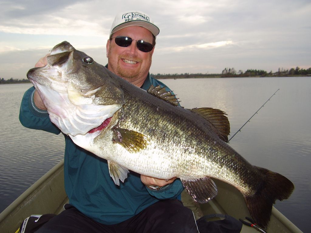 The 7 Best Ways To Catch Deep Water Bass