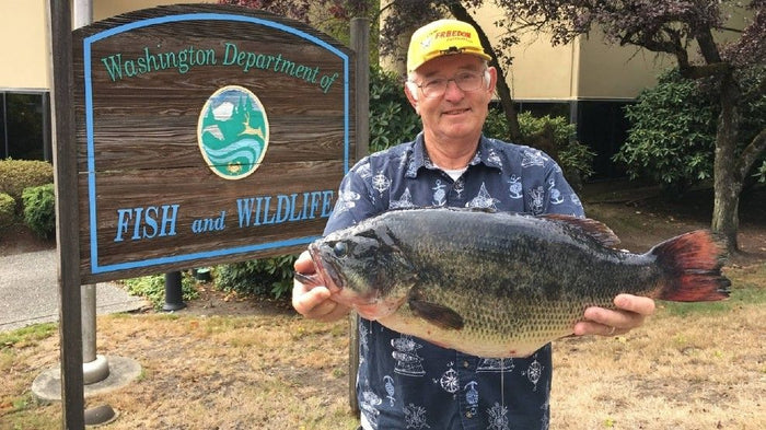 Man Breaks 39 Year Old Washington State Largemouth Bass Record