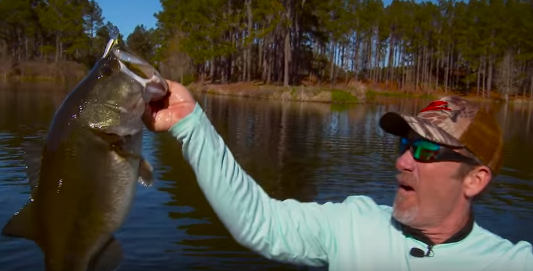 Tips For Fishing Points From Z-Man: Breaking Down The Bite