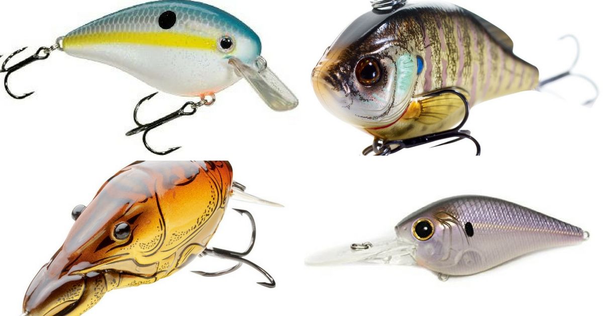 Your Definitive Guide To Choosing Crankbait Colors