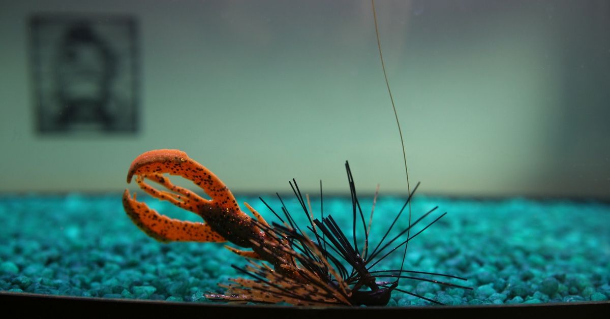 3 Ways To Rig And Fish A Soft Plastic Craw