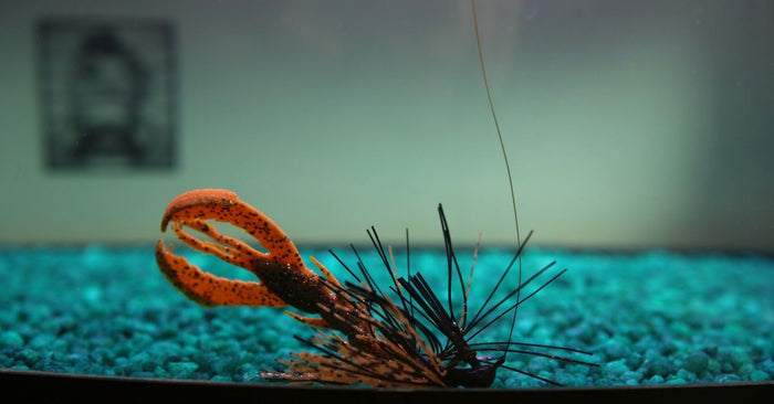 3 Ways To Rig And Fish A Soft Plastic Craw