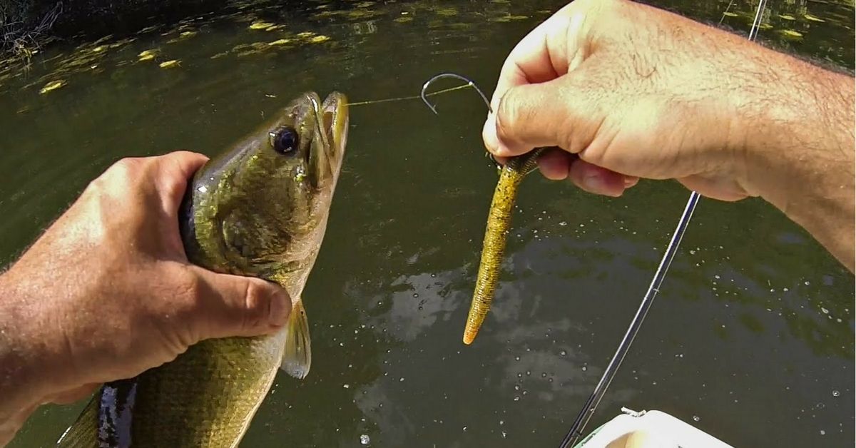 dead stick fishing lure Savage Craw 3.5" | Soft Craw Baits Built on a black Giant Wobblers, Stick baits, Poppers