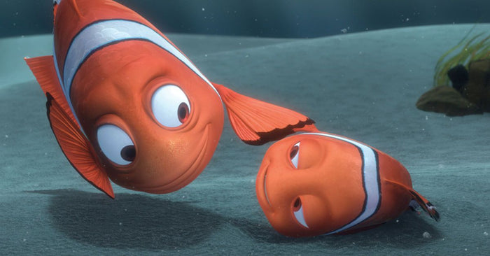 Ask An Angler: Do Fish Sleep?