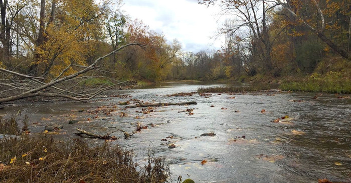 Fishing Current: Do's and Don'ts