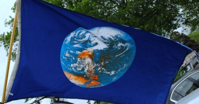 Fish Like Worms Not Worm Containers:  4 Ways To Keep Our Waters Clean