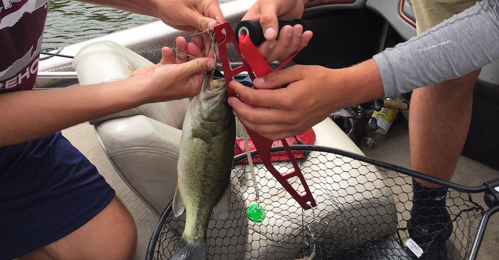 7 Tips To Better Handle Your Catch