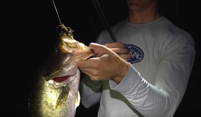 The 3 Best Presentations For Night Fishing