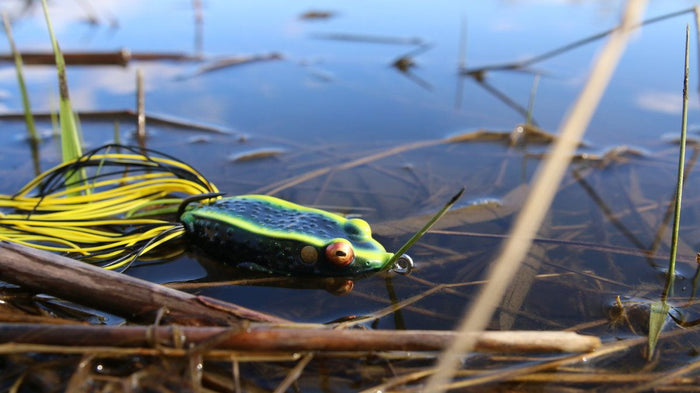 How To Fish The Weeds In Spring