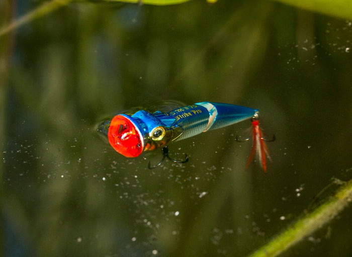 When You Should Be Throwing Jointed Baits