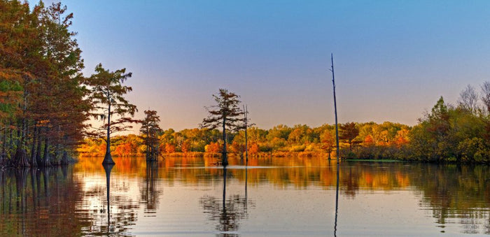 6 Tips For Fishing Docks, Trees, And More Wood Cover