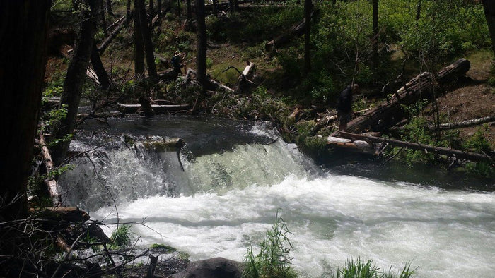 How To Catch Trout In Heavy Current