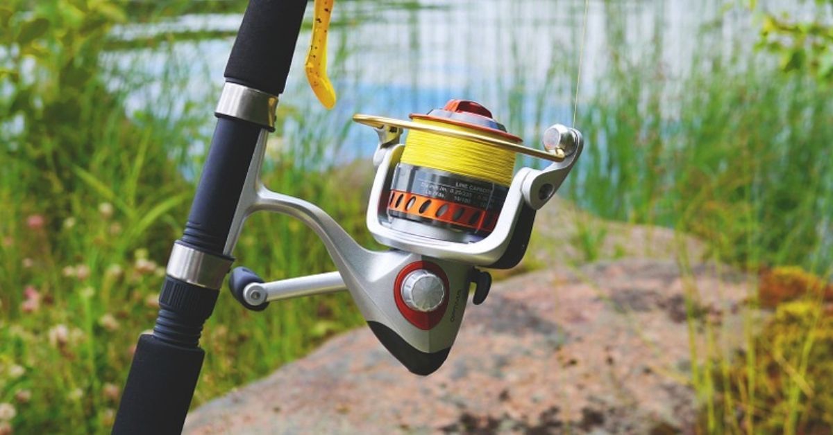 Spinning Reel