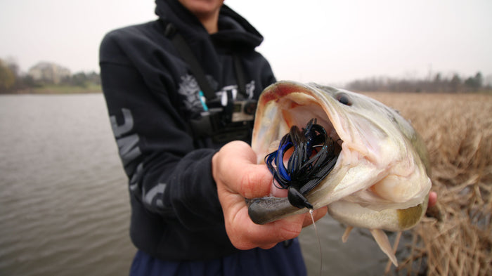 Bass with jig in its mouth