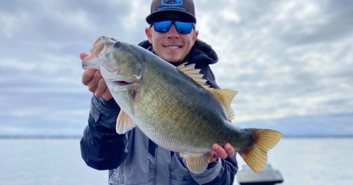 Meanmouth Bass
