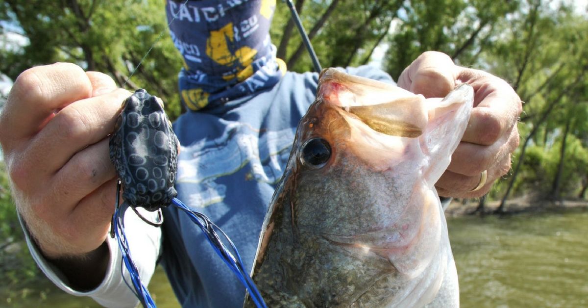 abu garcia abu blackmax low profile baitcast fishing combo Abu Garcia Max SX Baitcast Combo