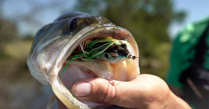 Summer Frog Fishing Tips With The Sauce Legend Jon B