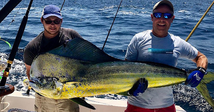 Mondo Mahi Mahi Mutilates Maryland Record