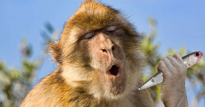 Have You Heard About The 